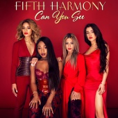 Fifth Harmony - Can You See