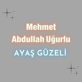 Mehmet Abdullah Uğurlu - Ayaş Güzeli
