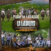 Banda La Ejecutiva De Mazatlán Sinaloa - Puras De Caballos En Vivo Desde El Rancho