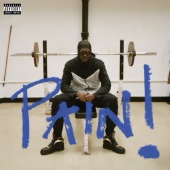 Sheck Wes - PAIN!