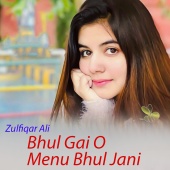 Zulfiqar Ali - Bhul Gai O Menu Bhul Jani