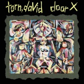David Torn - Door X