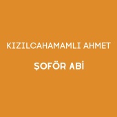 Kızılcahamamlı Ahmet - Şoför Abi