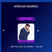Gürkan Demirez - Şeftalisin Elmasın / Dilek
