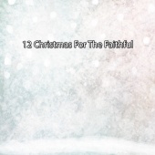 Christmas Hits - 12 Christmas For The Faithful