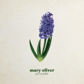 Caroline Spence - Mary Oliver [Acoustic]