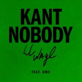 Lil Wayne - Kant Nobody (feat. DMX)