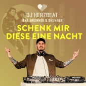 DJ Herzbeat - Schenk' mir diese eine Nacht (feat. Brunner & Brunner)