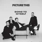 Picture This - Song To Myself