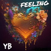 YB - Feeling