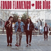 Fondo Flamenco - Dos Días
