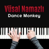 Vüsal Namazlı - Dance Monkey