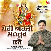 Amit Kumar - Meri Arzi Manzoor Karo