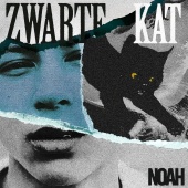 Noah - Zwarte Kat