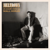 Niall Horan - Meltdown [Acoustic]