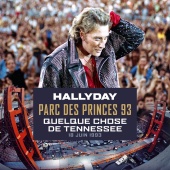 Johnny Hallyday - Quelque chose de Tennessee [Live au Parc des Princes / 18 juin 1993]