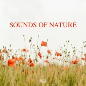 Sounds Of Nature - Sounds of Nature