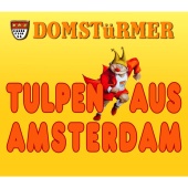 Domstürmer - Tulpen aus Amsterdam