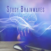 Pro Sound Effects Library - Study Brainwaves: Unlock Your Mind, Improve Your Focus