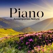 Sounds of Nature White Noise for Mindfulness & Meditation and Relaxation - Piano Accompanies Nature (Best Calm Nature Sounds with Instrumental Piano for Relax & Sleep)