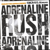 Sigma - Adrenaline Rush (feat. MORGAN) [Run In The Jungle Remix]