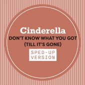 Cinderella - Don't Know What You Got (Till It's Gone) [Sped Up]