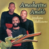 Amashayina Amahle - Inyokana Eluhlalzana