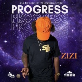 Zizi - Progress