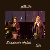 Ebi - دلتنگم (feat. Shadmehr Aghili)