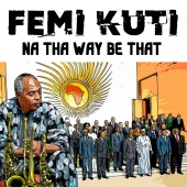 Femi Kuti - Na Their Way Be That [Radio Edit]