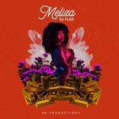 DJ Flex - Meliza