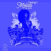 DJ Flex - Meliza [Sped up]