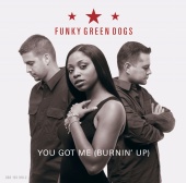 Funky Green Dogs - You Got Me (Burnin' Up)