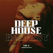 Various Artists - Deep-House Embassy, Vol. 2
