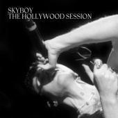 Duncan Laurence - SKYBOY [THE HOLLYWOOD SESSION]