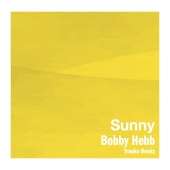 Bobby Hebb - Sunny [Trooko Remix]