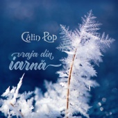 Calin Pop - Vraja din iarnă