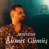 Ahmet Gümüş - Neredesin