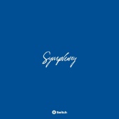 Switch - Symphony [Deluxe Edition]
