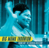Big Mama Thornton - Hound Dog - The Essential Collection