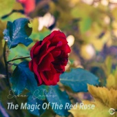 Erkan Çanakçı - The Magic Of The Red Rose