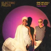 Electric Fields - One Milkali (One Blood) [Tseba Remix]