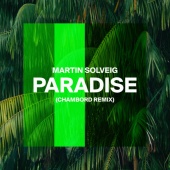 Martin Solveig - Paradise [Chambord Remix]