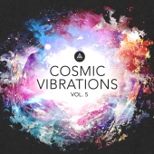 Various Artists - Cosmic Vibrations Vol.5