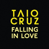 Taio Cruz - Falling In Love [Acoustic Version]