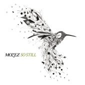 Mozez - So Still