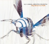 ALO (Animal Liberation Orchestra) - Fly Between Falls