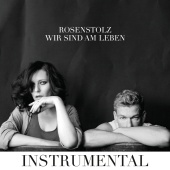 Rosenstolz - Wir sind am Leben ( Instrumental Version )