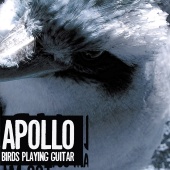 Apollo - Birds Playing Guitar