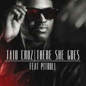 Taio Cruz - There She Goes